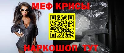 стафф Кингисепп