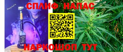 стафф Кингисепп