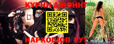 стафф Кингисепп