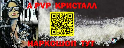стафф Кингисепп