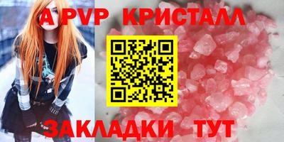 стафф Кингисепп