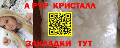 стафф Кингисепп