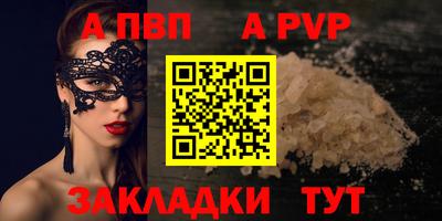 стафф Кингисепп