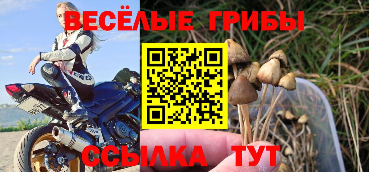 Псилоцибиновые грибы мицелий Ирбит